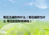 菊花又被稱作什么（菊花被稱為什么 菊花的別稱有哪些）