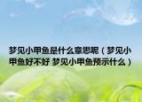 夢見小甲魚是什么意思呢（夢見小甲魚好不好 夢見小甲魚預(yù)示什么）