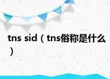 tns sid（tns俗稱是什么）