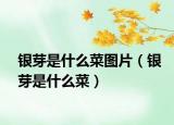 銀芽是什么菜圖片（銀芽是什么菜）