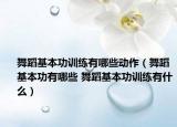 舞蹈基本功訓(xùn)練有哪些動(dòng)作（舞蹈基本功有哪些 舞蹈基本功訓(xùn)練有什么）