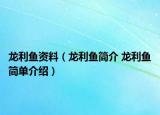 龍利魚資料（龍利魚簡介 龍利魚簡單介紹）