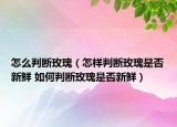 怎么判斷玫瑰（怎樣判斷玫瑰是否新鮮 如何判斷玫瑰是否新鮮）