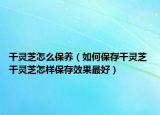 干靈芝怎么保養(yǎng)（如何保存干靈芝 干靈芝怎樣保存效果最好）