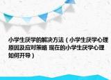 小學(xué)生厭學(xué)的解決方法（小學(xué)生厭學(xué)心理原因及應(yīng)對策略 現(xiàn)在的小學(xué)生厭學(xué)心理如何開導(dǎo)）