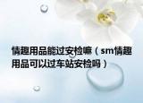 情趣用品能過(guò)安檢嘛（sm情趣用品可以過(guò)車站安檢嗎）