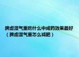 脾虛濕氣重吃什么中成藥效果最好（脾虛濕氣重怎么減肥）