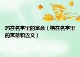 玙在名字里的寓意（柟在名字里的寓意和含義）