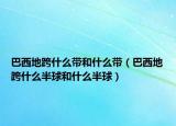 巴西地跨什么帶和什么帶（巴西地跨什么半球和什么半球）