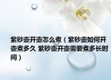紫砂壺開壺怎么煮（紫砂壺如何開壺煮多久 紫砂壺開壺需要煮多長時間）