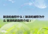 鼓浪嶼俗稱什么（鼓浪嶼被稱為什么 鼓浪嶼的別稱介紹）