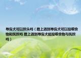 導(dǎo)盲犬可以摸頭嗎（路上遇到導(dǎo)盲犬可以投喂食物和撫摸嗎 路上遇到導(dǎo)盲犬能投喂食物與撫摸嗎）