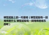 螃蟹屁股上的一坨是啥（螃蟹屁股有一團海綿是什么 螃蟹屁股有一團海綿是啥東西呢）