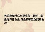 養(yǎng)龍魚和什么魚混養(yǎng)在一起好（龍魚混養(yǎng)什么魚 龍魚和哪些魚混養(yǎng)合適）
