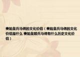 秦始皇兵馬俑的文化價(jià)值（秦始皇兵馬俑的文化價(jià)值是什么 秦始皇陵兵馬俑有什么歷史文化價(jià)值）