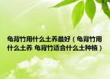 龜背竹用什么土養(yǎng)最好（龜背竹用什么土養(yǎng) 龜背竹適合什么土種植）
