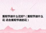 重陽節(jié)送什么花好?（重陽節(jié)送什么花 適合重陽節(jié)送的花）