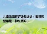 兒童吃海苔好處和壞處（海苔和紫菜是一種東西嗎）