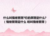 什么叫情緒管理?它的原理是什么?（情緒管理是什么 啥叫情緒管理）