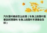 汽車落葉痕跡怎么處理（車身上的落葉需要及時(shí)清理嗎 車身上的落葉不清理會(huì)怎樣）