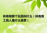 林有有那個玩具叫什么（林有有工具人是什么意思）