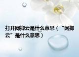 打開網(wǎng)抑云是什么意思（“網(wǎng)抑云”是什么意思）