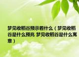 夢見收稻谷預示著什么（夢見收稻谷是什么預兆 夢見收稻谷是什么寓意）