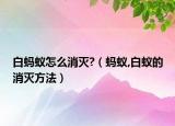 白螞蟻怎么消滅?（螞蟻,白蟻的消滅方法）