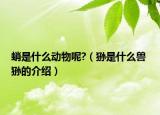 蛸是什么動物呢?（猻是什么獸 猻的介紹）
