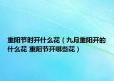 重陽節(jié)時開什么花（九月重陽開的什么花 重陽節(jié)開哪些花）