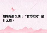 如來是什么梗（“非常豹笑”是什么梗）