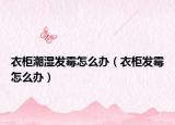 衣柜潮濕發(fā)霉怎么辦（衣柜發(fā)霉怎么辦）