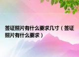 簽證照片有什么要求幾寸（簽證照片有什么要求）