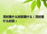 茂時(shí)是什么時(shí)辰屬什么（茂時(shí)是什么時(shí)辰）