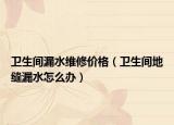 衛(wèi)生間漏水維修價(jià)格（衛(wèi)生間地縫漏水怎么辦）