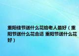 重陽佳節(jié)送什么花給老人最好（重陽節(jié)送什么花合適 重陽節(jié)送什么花好）