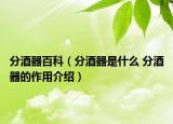 分酒器百科（分酒器是什么 分酒器的作用介紹）