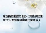龍魚換缸縮鰭怎么辦（龍魚換缸注意什么 龍魚換缸需要注意什么）