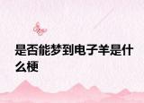 是否能夢到電子羊是什么梗