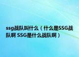 ssg戰(zhàn)隊叫什么（什么是SSG戰(zhàn)隊啊 SSG是什么戰(zhàn)隊啊）