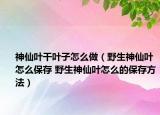 神仙葉干葉子怎么做（野生神仙葉怎么保存 野生神仙葉怎么的保存方法）