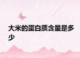 大米的蛋白質(zhì)含量是多少
