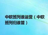 中歐班列誰運(yùn)營（中歐班列歸誰管）
