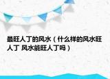 最旺人丁的風水（什么樣的風水旺人丁 風水能旺人丁嗎）