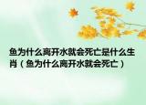 魚(yú)為什么離開(kāi)水就會(huì)死亡是什么生肖（魚(yú)為什么離開(kāi)水就會(huì)死亡）