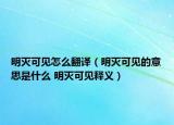 明滅可見怎么翻譯（明滅可見的意思是什么 明滅可見釋義）