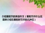 介紹重陽(yáng)節(jié)的英語(yǔ)作文（重陽(yáng)節(jié)開(kāi)什么花 簡(jiǎn)單介紹在重陽(yáng)時(shí)節(jié)開(kāi)的幾種花）