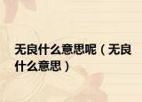 無良什么意思呢（無良什么意思）