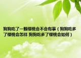 狗狗吃了一顆櫻桃會不會有事（狗狗吃多了櫻桃會怎樣 狗狗吃多了櫻桃會如何）