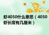 蝦4050什么意思（4050蝦長度有幾厘米）